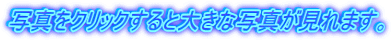 写真をクリックすると大きな写真が見れます。